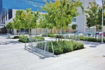 Enlarge photo 48