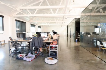 Enlarge photo 19
