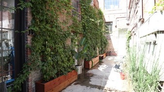 Enlarge photo 6
