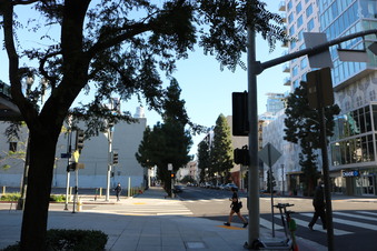 Enlarge photo 13