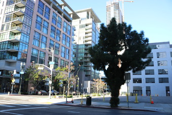 Enlarge photo 6