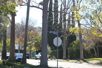 Enlarge photo 11
