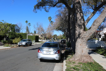 Enlarge photo 2