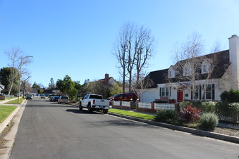 Enlarge photo 30