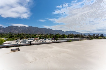 Enlarge photo 84