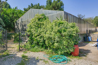GREEN HOUSES