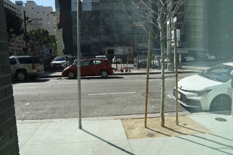 Enlarge photo 29