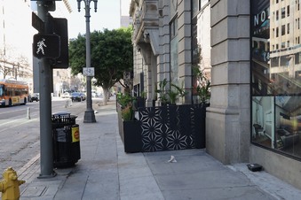 Enlarge photo 53