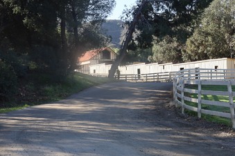 Enlarge photo 5