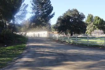 Enlarge photo 7