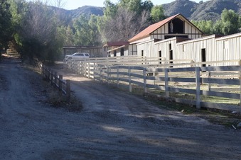 Enlarge photo 13
