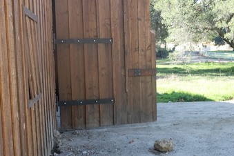 Enlarge photo 5