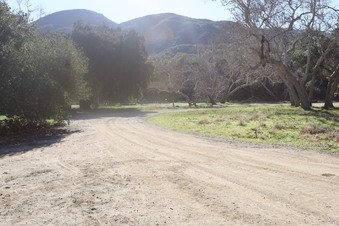 Enlarge photo 17