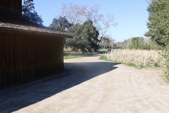 Enlarge photo 21