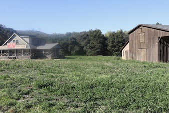 Enlarge photo 7