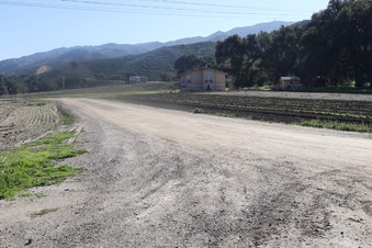 Enlarge photo 10