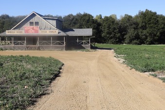 Enlarge photo 11