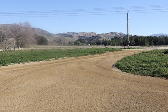 Enlarge photo 14