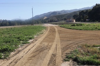Enlarge photo 20