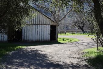 Enlarge photo 12