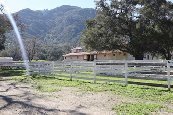Enlarge photo 16