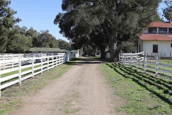 Enlarge photo 28