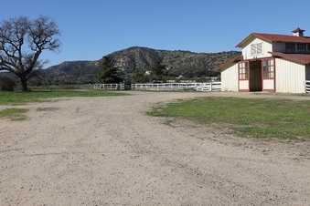 Enlarge photo 40