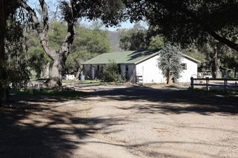Enlarge photo 43