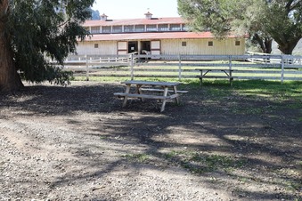 Enlarge photo 48