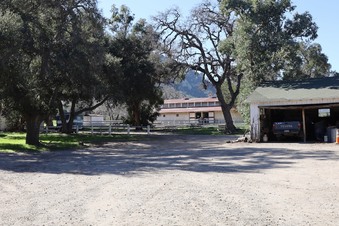 Enlarge photo 51
