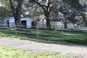 Enlarge photo 2