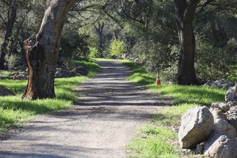 Enlarge photo 7