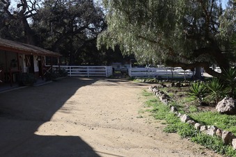 Enlarge photo 10