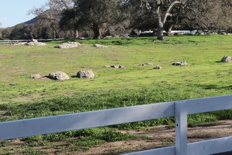 Enlarge photo 18