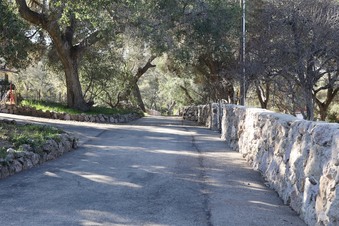 Enlarge photo 20