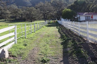 Enlarge photo 25