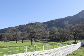 Enlarge photo 27