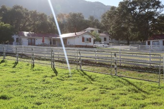 Enlarge photo 28