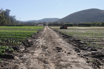 Enlarge photo 10