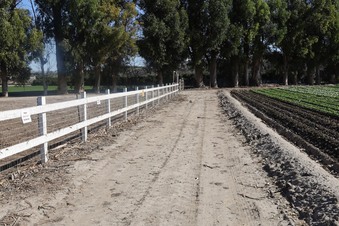 Enlarge photo 22