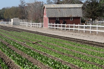 Enlarge photo 30