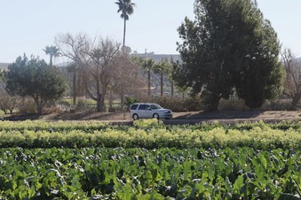 Enlarge photo 39