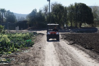 Enlarge photo 40