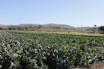 Enlarge photo 42