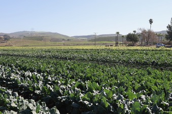 Enlarge photo 49