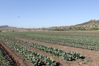 Enlarge photo 53