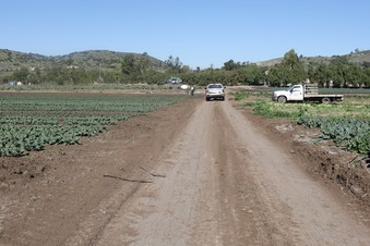 Enlarge photo 54
