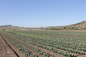 Enlarge photo 56