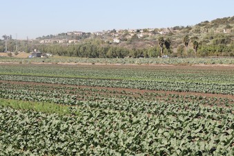 Enlarge photo 57