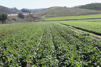 Enlarge photo 66
